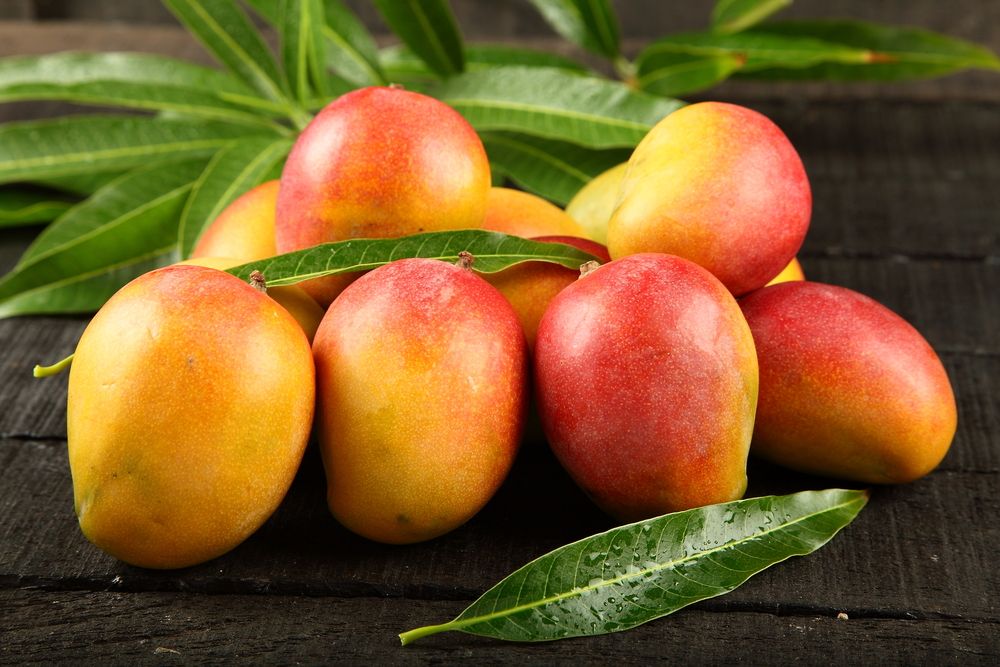 health benefits of mangoes