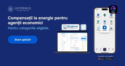 Agenții economici pot depune cereri pentru compensații la energia electrică