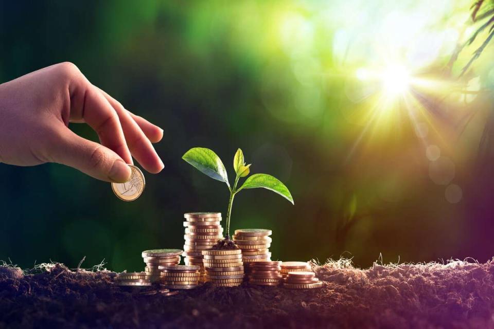 Agricultorii pot solicita până la 800.000 lei pentru proiecte de îmbunătățiri funciare, ameliorare și protecție a solului