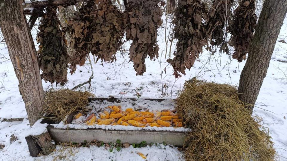 Moldsilva intensifică măsurile de protecție: 1.000 de hrănitori și 8 milioane lei pentru fauna sălbatică în fața gerului