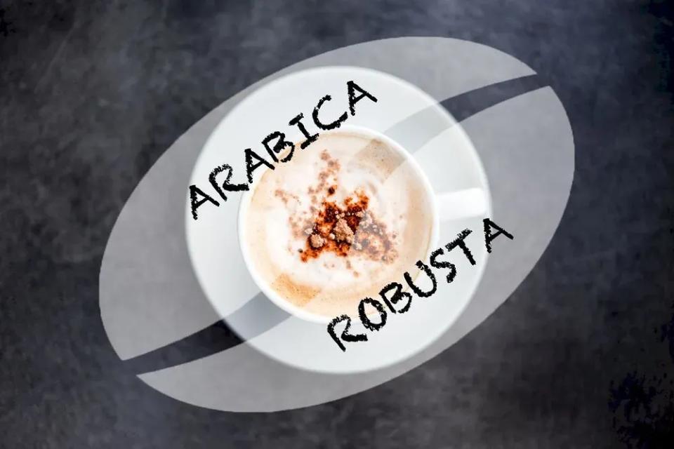 Diferențele dintre cafeaua Arabica și Robusta: Care este mai bună?