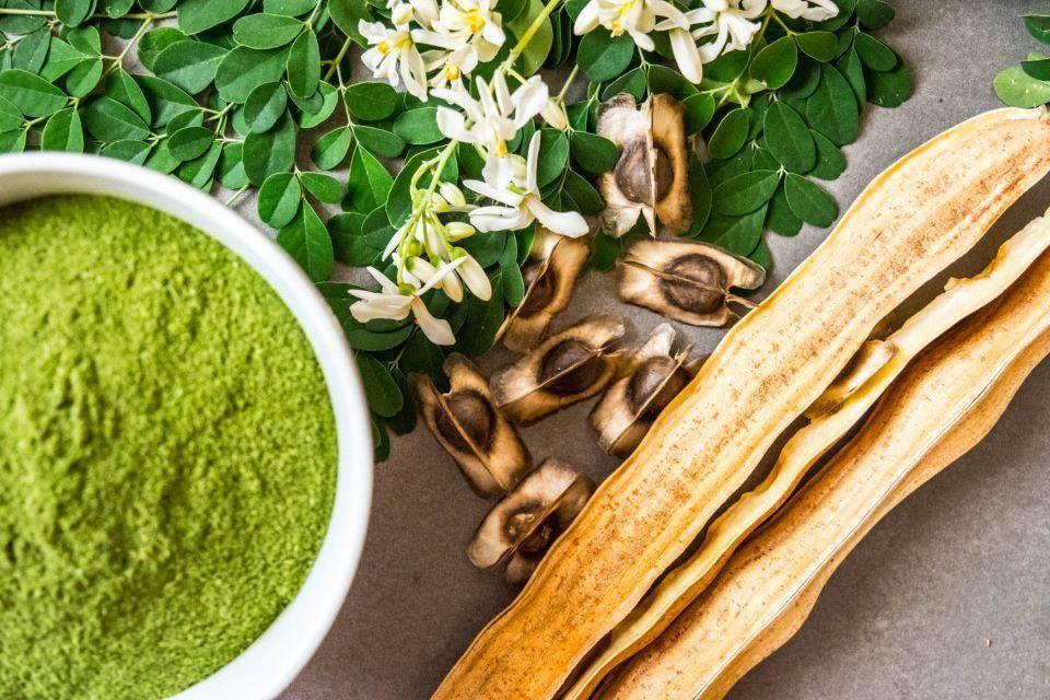 Moringa: Superalimentul care îți poate înlocui cafeaua de dimineață