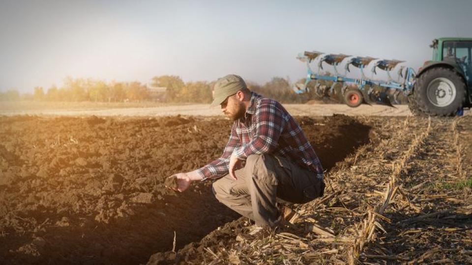 Fermierii au primit 329,7 milioane lei în februarie 2025 prin AIPA. Cum au fost distribuite fondurile 