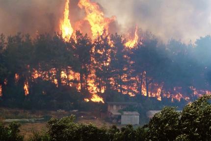 Incendiile de vegetație – un pericol real! Respectați măsurile de prevenire!