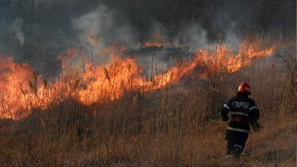 Incendiile de Vegetație: Măsuri de prevenire și sancțiuni pentru proprietarii iresponsabili