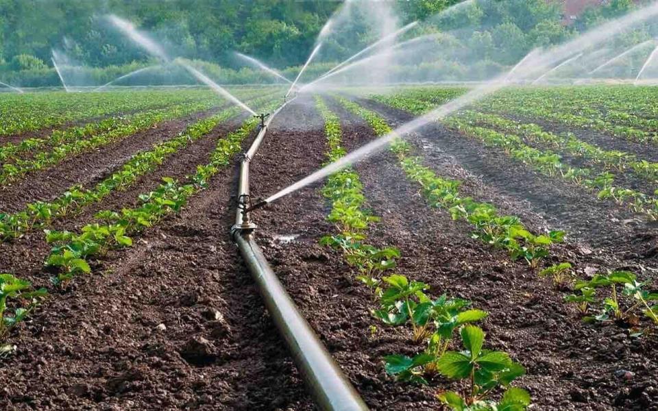 Cum se constituie o Asociație a Utilizatorilor de Apă pentru Irigații: pașii esențiali pentru fermieri