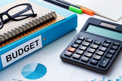 Raportul privind executarea bugetului de stat pe anul 2024, aprobat de Guvern
