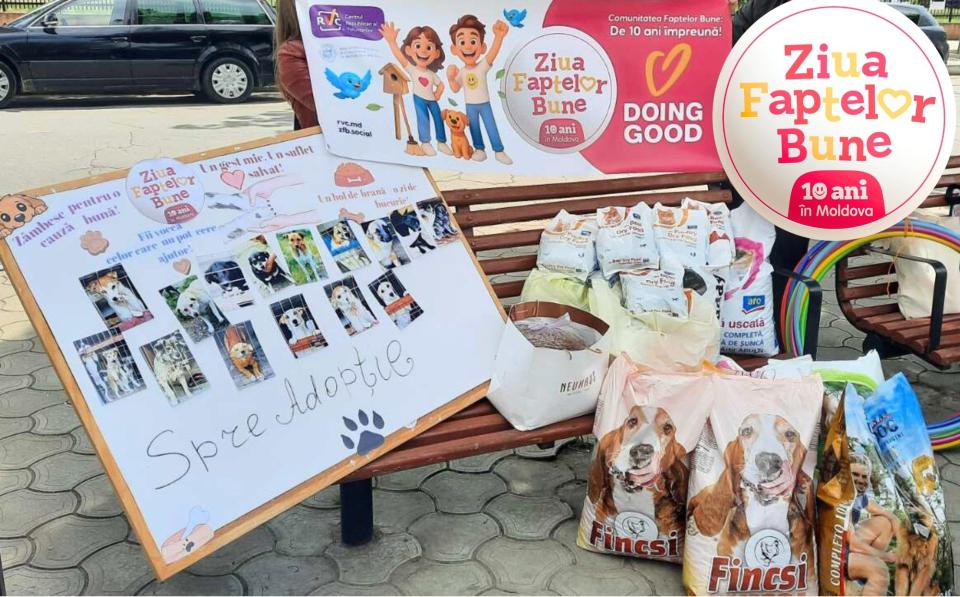 Peste 8.800 de lei și 100 kg de hrană, colectate pentru câinii fără stăpân din Cahul