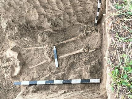 Descoperire arheologică la Slobozia Mare. Un schelet uman de acum 500 de ani a ieșit la iveală în urma lucrărilor rutiere