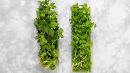 Pătrunjel vs. Țelină: diferențe, utilizări și condiții de creștere
