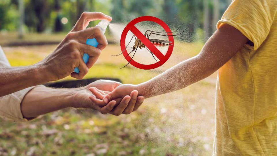 Cum ne apărăm vara aceasta de țânțari: sfaturi utile pentru un sezon fără bătăi de cap
