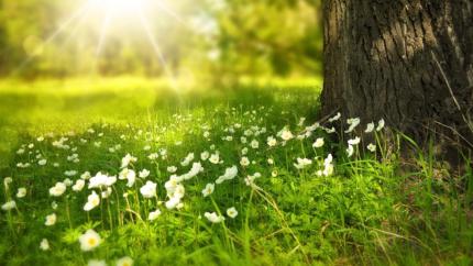 Vreme caldă, dar instabilă în weekend: prognoza meteo pentru 3–5 mai în R. Moldova