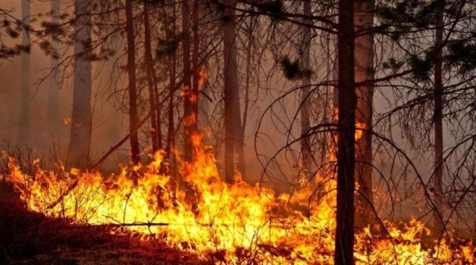 Cod Galben de pericol de incendiu, valabil în Republica Moldova între 27 iunie și 3 iulie