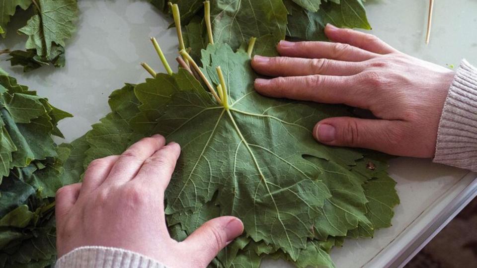 Cum păstrăm frunzele de viță de vie pentru iarnă: Metode simple și eficiente