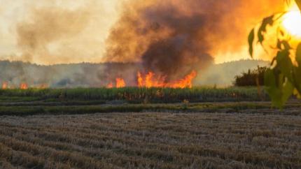 Amenzi pentru incendierea câmpurilor: Ce trebuie să știe toți fermierii în perioada recoltării