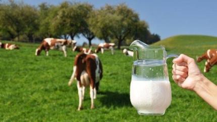 Crescătorii de oi și capre pot solicita plăți directe per cap de animal