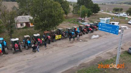 427 de cereri pentru subvenții au fost depuse în primele patru luni. Cele mai multe sunt din raionul Cahul - 39