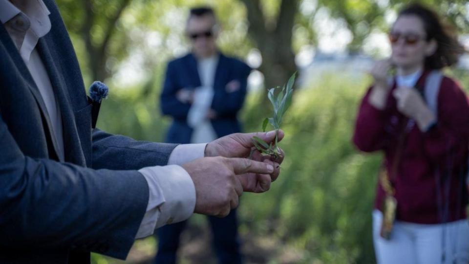 FAO, Japonia și Elveția susțin extinderea culturii de sorg în Republica Moldova