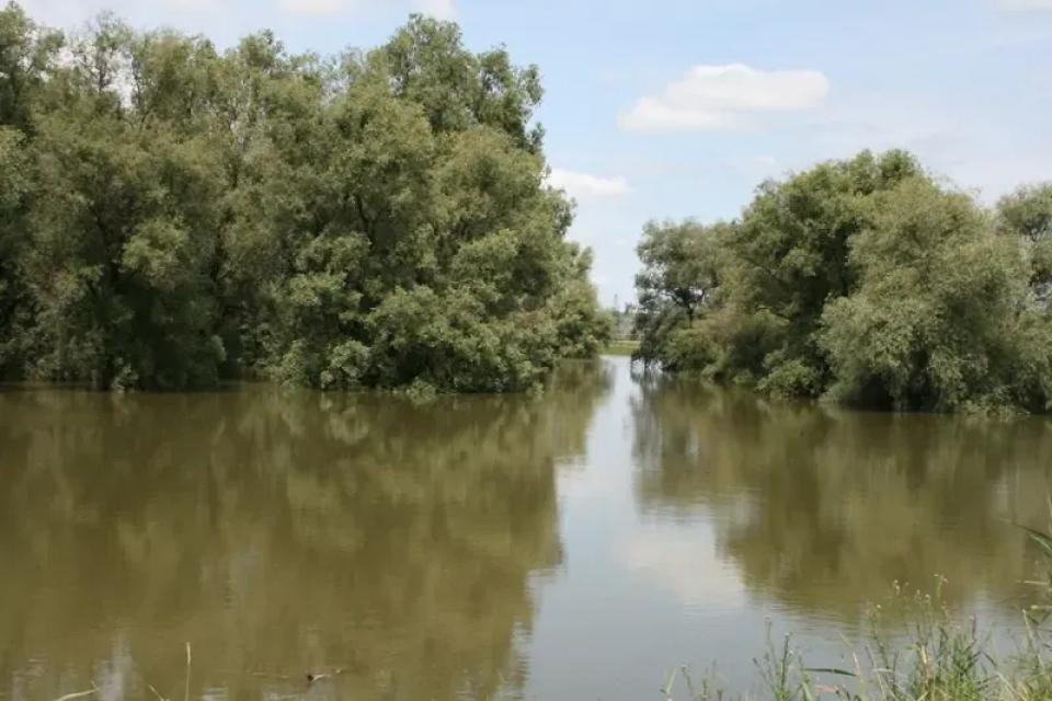 Avertizare: Cod Galben de inundații pe Râul Prut