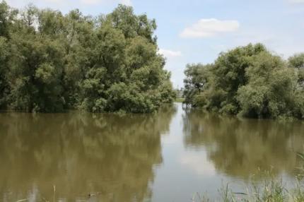 Avertizare: Cod Galben de inundații pe Râul Prut