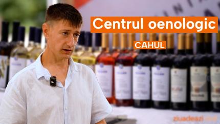 Centrul Oenologic Cahul – complet dotat și pregătit să susțină vinul din sudul Moldovei