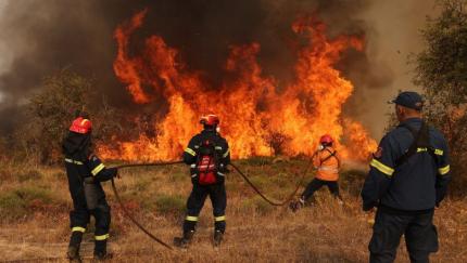 38 de incendii de vegetație în doar 24 de ore. IGSU apel către comunitate