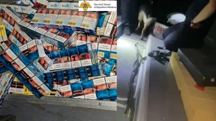 Tentativă de contrabandă cu țigări dejucată la Vama Cahul cu ajutorul câinelui de serviciu Emma