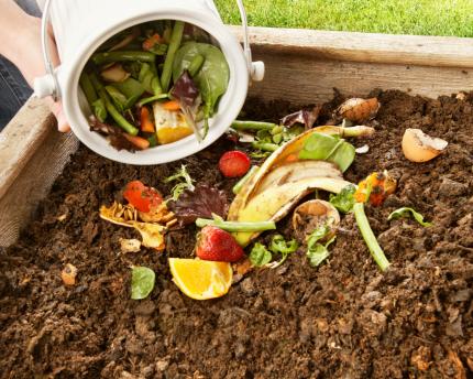 Ghid practic de compostare: de la gospodărie la balcon 