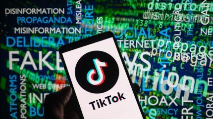 Peste 400 de canale TikTok, vizate pentru blocare în Republica Moldova din cauza dezinformării