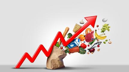 Date statistice la un click distanță: Un nou instrument interactiv al BNS arată cum a evoluat inflația în ultimii 10 ani