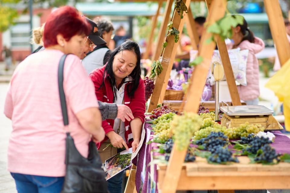 Producătorii locali din Leova își vor da întâlnire la o expoziție-târg de Ziua Independenței    