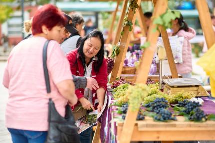 Producătorii locali din Leova își vor da întâlnire la o expoziție-târg de Ziua Independenței    