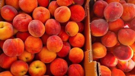 De ce lipsesc din supermarketuri fructele de sezon autohtone
