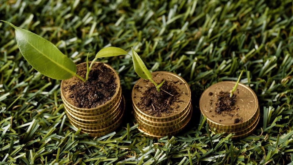 Noi mecanisme de subvenționare în 2025 și sprijin pentru fermierii afectați de înghețuri 