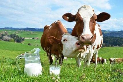 Subvenții pentru fermieri: plăți directe pe animale și lapte, cereri din 15 august