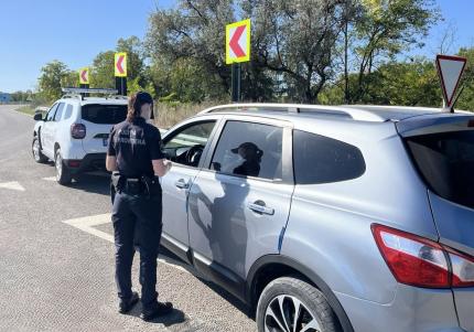 1.000 de euro i-ar fi costat un permis de conducere falsificat unui tânăr de 20 de ani