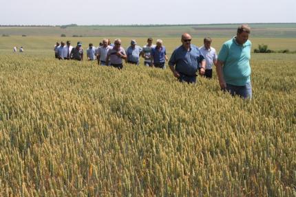 Guvernul alocă peste 100 de milioane de lei pentru despăgubiri în urma intemperiilor