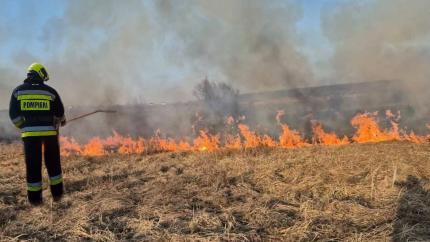 Amenzi de peste 1,25 milioane lei pentru arderea vegetației uscate în Republica Moldova