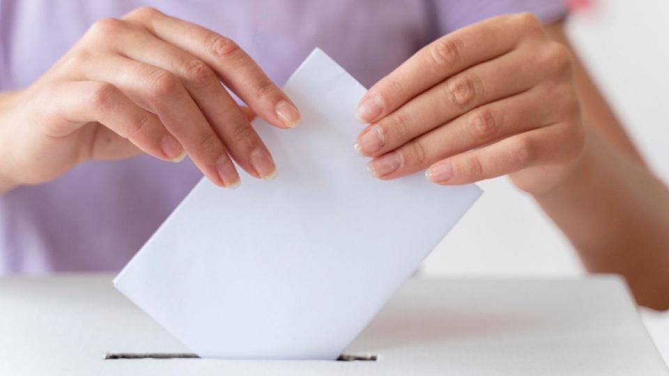 Vot pentru tineri: elevii și studenții pot vota din locul unde studiază
