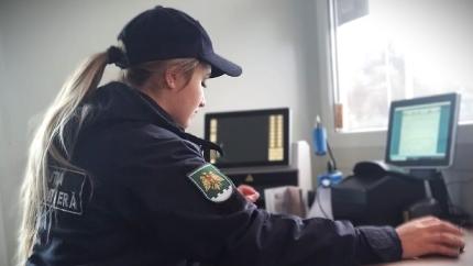 Permise de conducere falsificate, depistate la PTF Leova