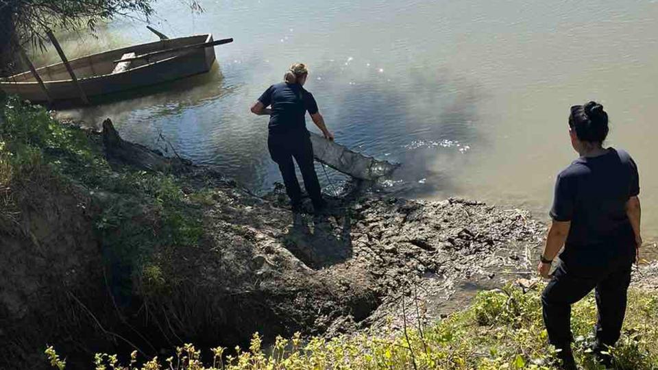 Inspectorii de mediu au confiscat plase de pescuit instalate ilegal între Cahul și Giurgiulești