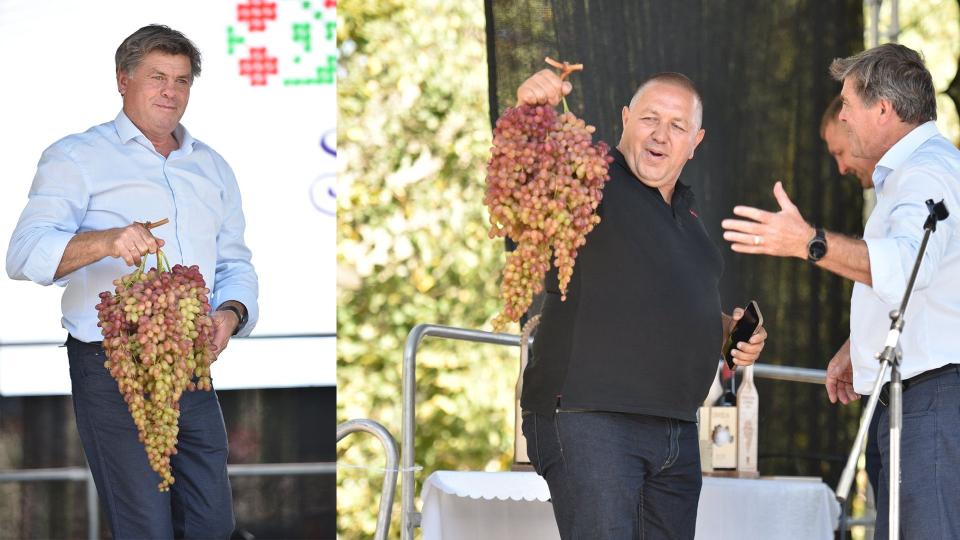 Strugurele Gigant de 4,7 kg din Cahul, vedeta festivalului din Cimișlia. Vezi cu cât a fost vândut