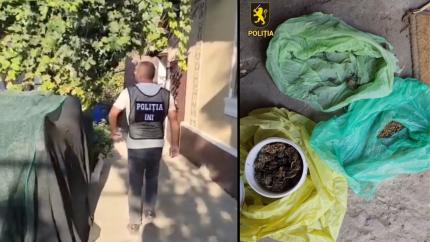 VIDEO // Percheziții la Cahul: Droguri de circa 200.000 de lei și muniții ridicate de polițiști