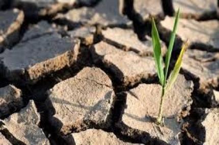 Instruire pentru fermierii din Pelinei: oportunitate de a beneficia de granturi pentru adaptarea la schimbările climatice