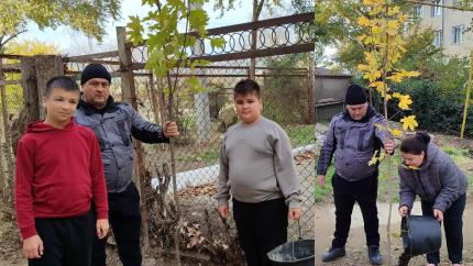 Familie din sectorul Lipovanca plantează copaci pentru un viitor mai verde