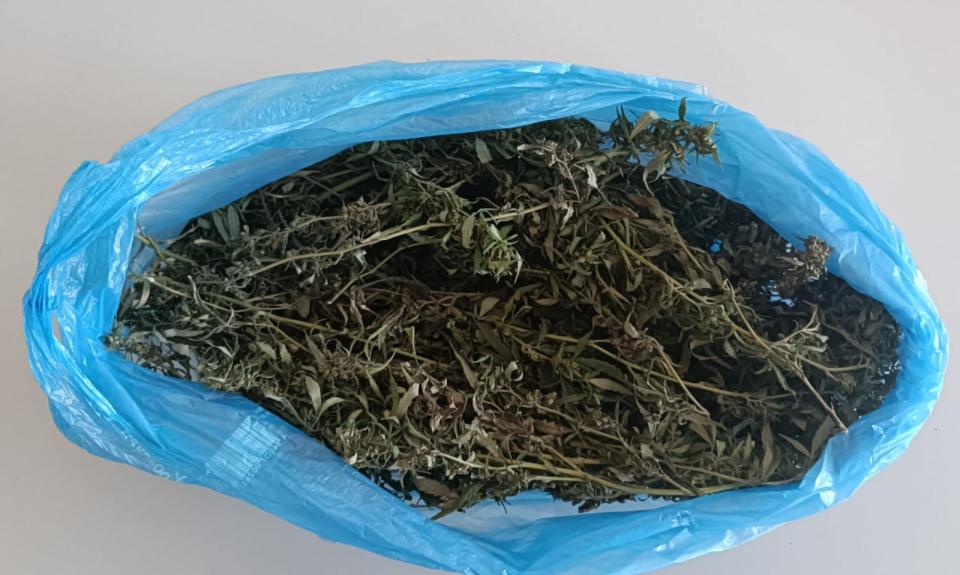 Un nou caz de deținere ilegală de droguri, depistat de polițiștii de frontieră în Cahul