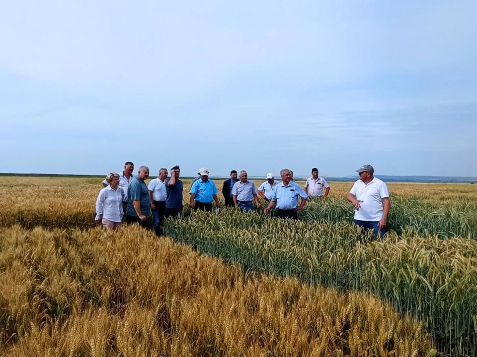 Cahul – lider național la numărul de beneficiari de subvenții agricole în 2024