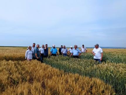 Cahul – lider național la numărul de beneficiari de subvenții agricole în 2024