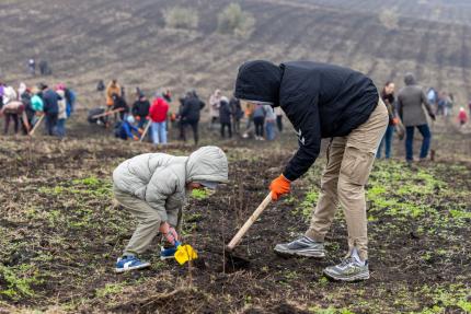 Guvernul a plantat 110 de mii de puieți, în cadrul campaniei „Generația pădurii” 