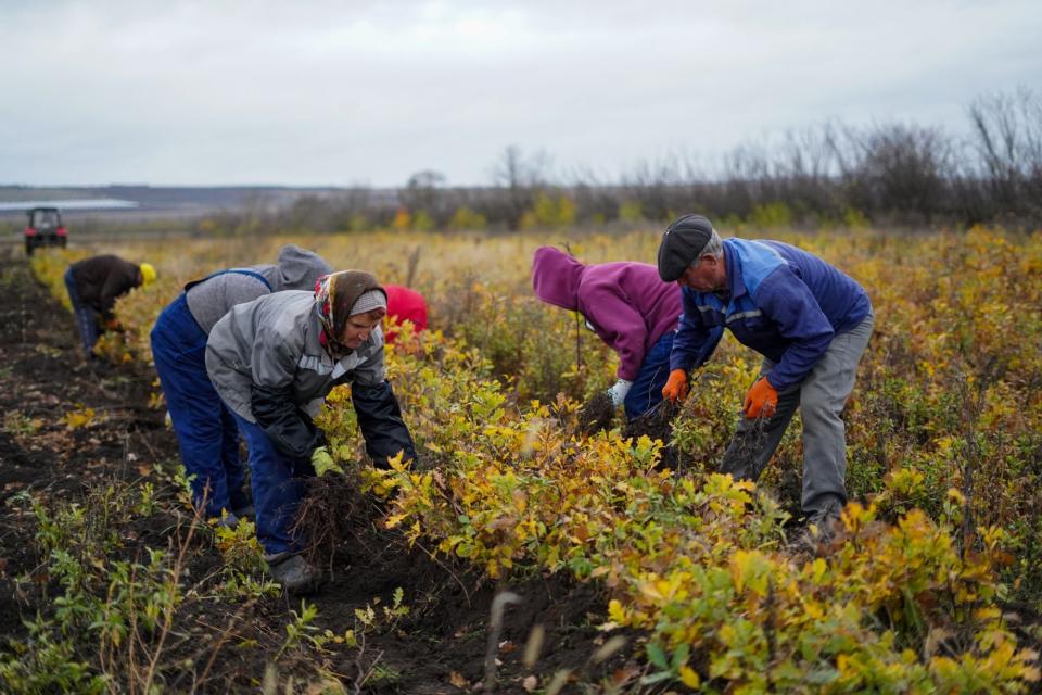 S-a dat start pentru campania de împădurire #GenerațiaPădurii – Toamna 2025